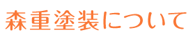 森重塗装について